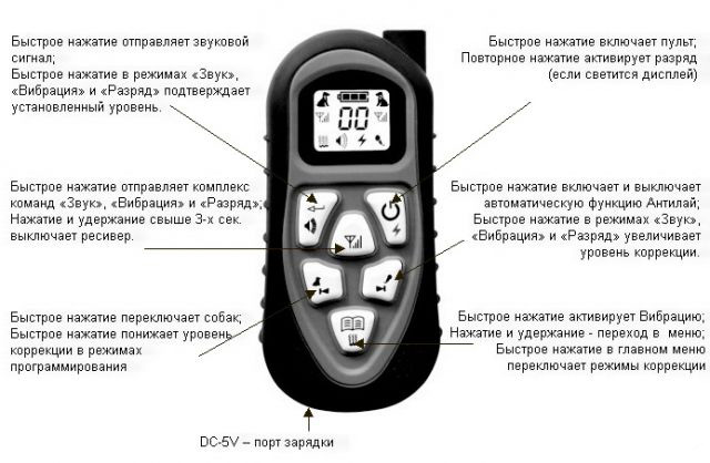 Способы воздействия на собаку электроошейником